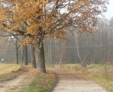 2012-11-18 70-tka Krystiana