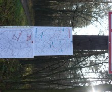2013-11-17 Bieg 60-latków